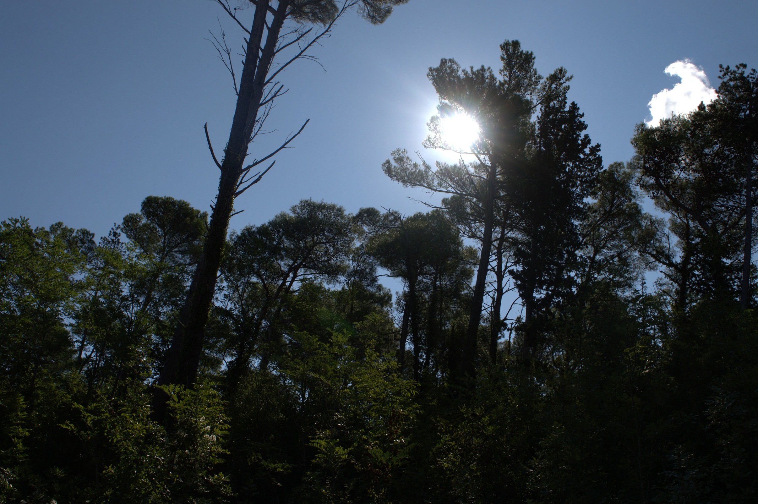 K k 035   dsc 1733   6034 x 4012